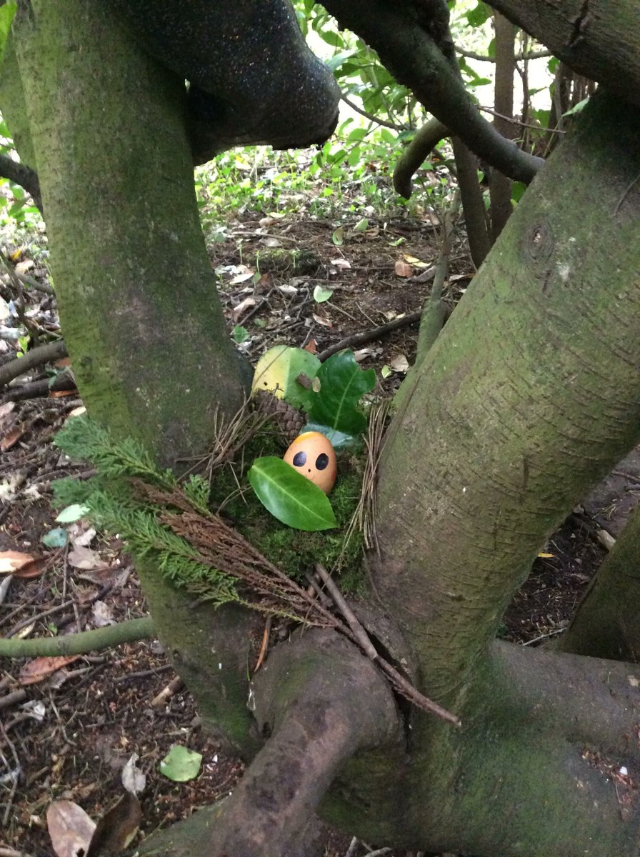HambrookSchool's tweet photo. Today #Hambrook4 had their own eggs to protect and took on the roles of Mummy and Daddy bird really well, working together to build a nest for their babies. We talked about what nests look like and why and they did a brilliant job of creating their own. #Hambrookforestschool https://t.co/UmkcAutBYQ