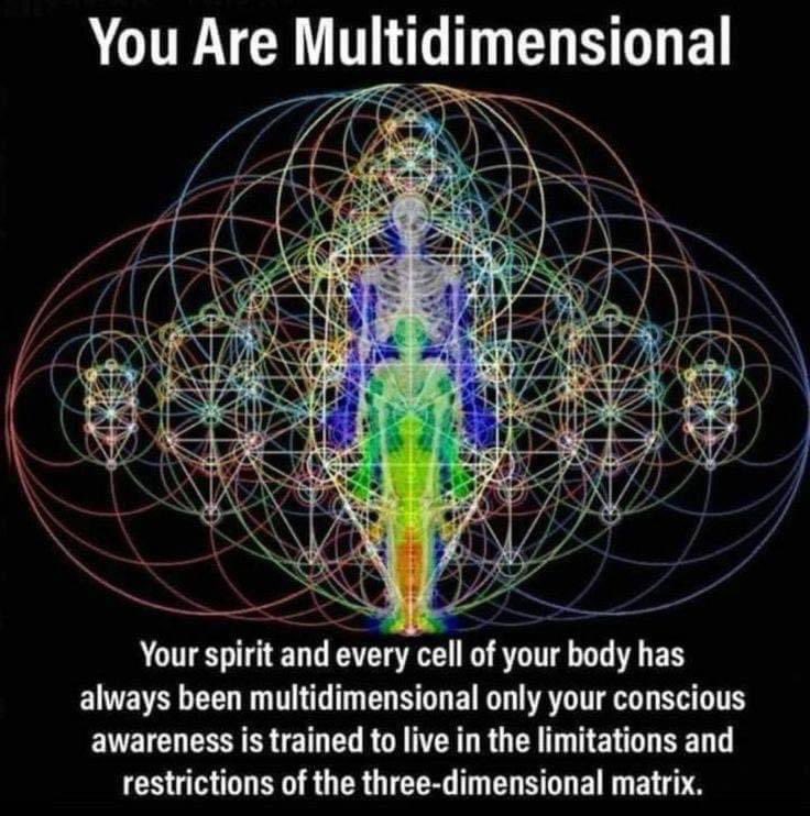 EdmondHWollmann's tweet image. #multidimensionalbeings