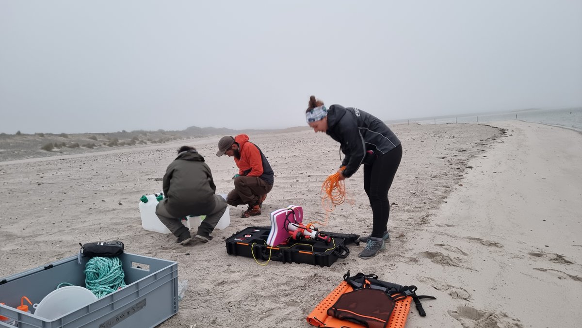 EMBLtrec's tweet photo. Last day of sampling in Sylt before moving on to our next destination!
 
 Next week we will be in Aarhus, Denmark, again with our colleagues from Tara sampling at sea!

#EMBLTrec @EMBL, @TaraOcean_, @EMBRC_EU

📸 @JoannaZukowska7 /EMBL https://t.co/6IR07t0kVk