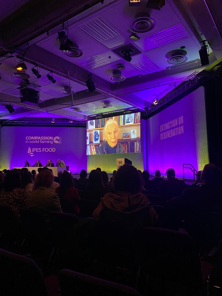 Siamo qui. "Extinction or regeneration" è una scelta necessaria, che deve avere l'impegno di tutt #Extinction2023 @LAVonlus <a href="/LoBianchi4/">LorenzaBianchi</a>