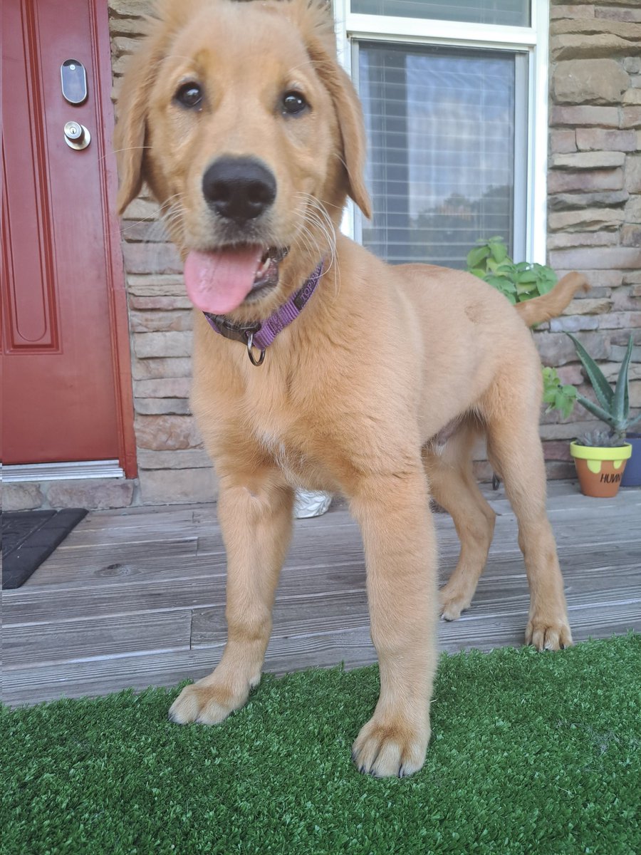 Bacon4EverEver tweet media