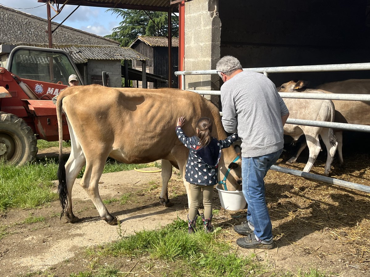 Interbevna's tweet photo. Retour en quelques 📸 de la visite #MadeInViande de l'élevage de Serge, éleveur de🐂en @gironde. Au programme, rencontre avec les animaux et découverte de l'alimentation des vaches https://t.co/iwX3css6xA