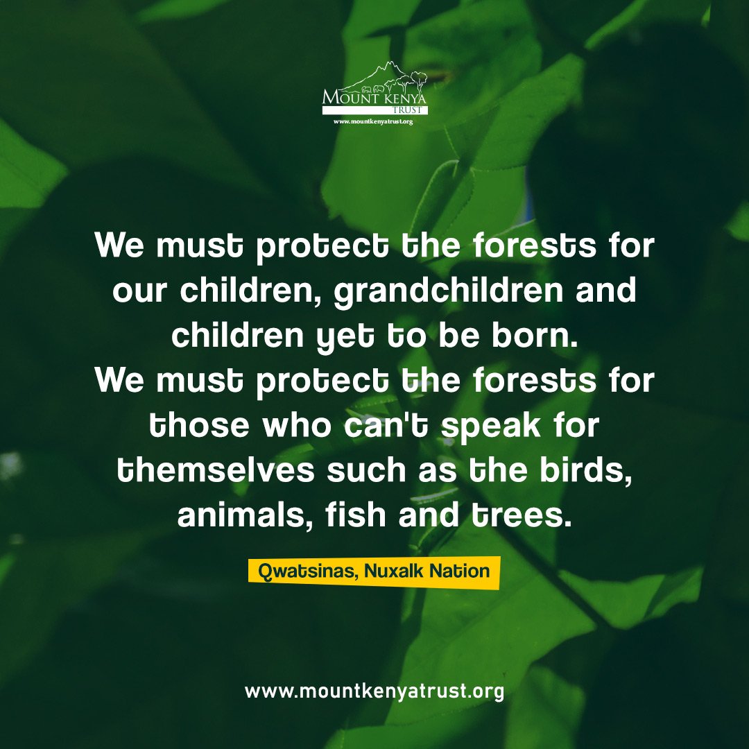 mountkenyatrust's tweet photo. 🌲🌳🌲 Forests are home to countless species of plants and animals, and they play a vital role in regulating our climate, providing clean air and water, and supporting human livelihoods.
#forestconservation #forestquotes #ecoquotes #naturequotes #forestquote #forestlove https://t.co/VOvvQX6Ugs