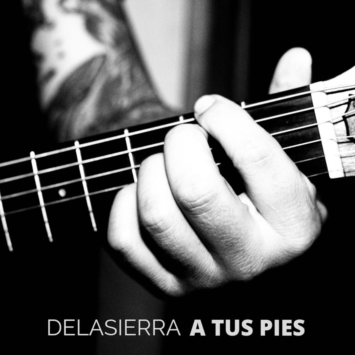 Ditto Music Español tweet media