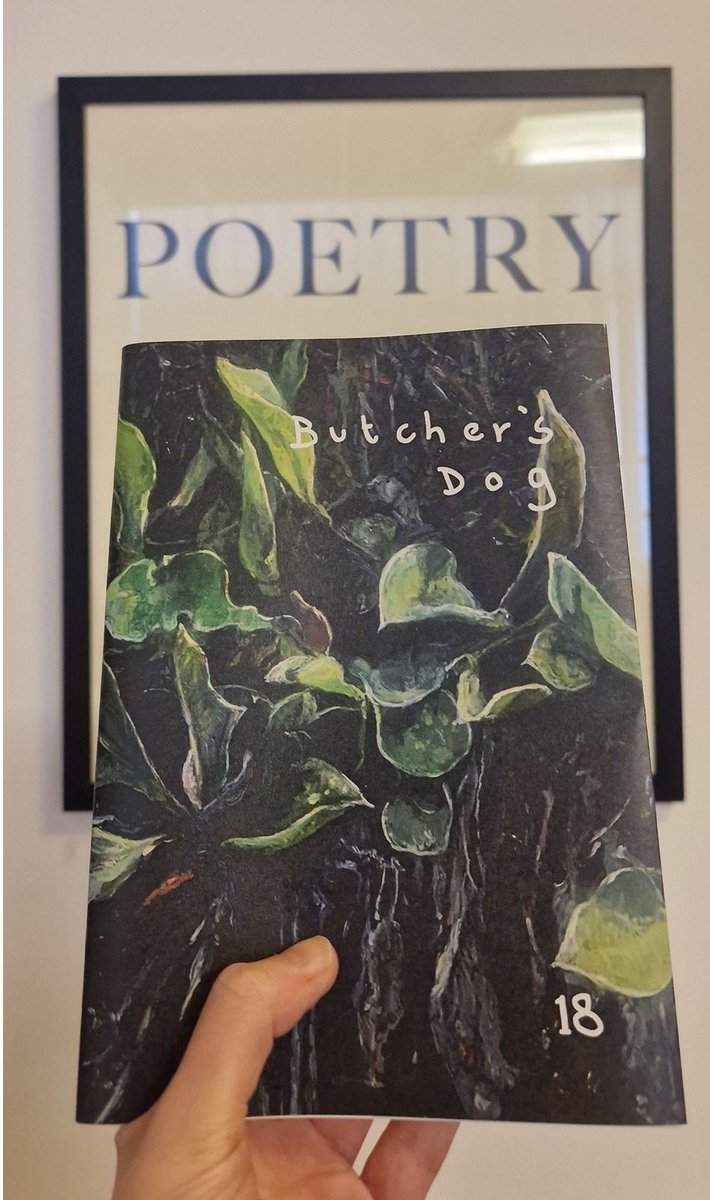 ButchersDogMag's tweet photo. SHE'S HERE! https://t.co/m5gms1ZmNH