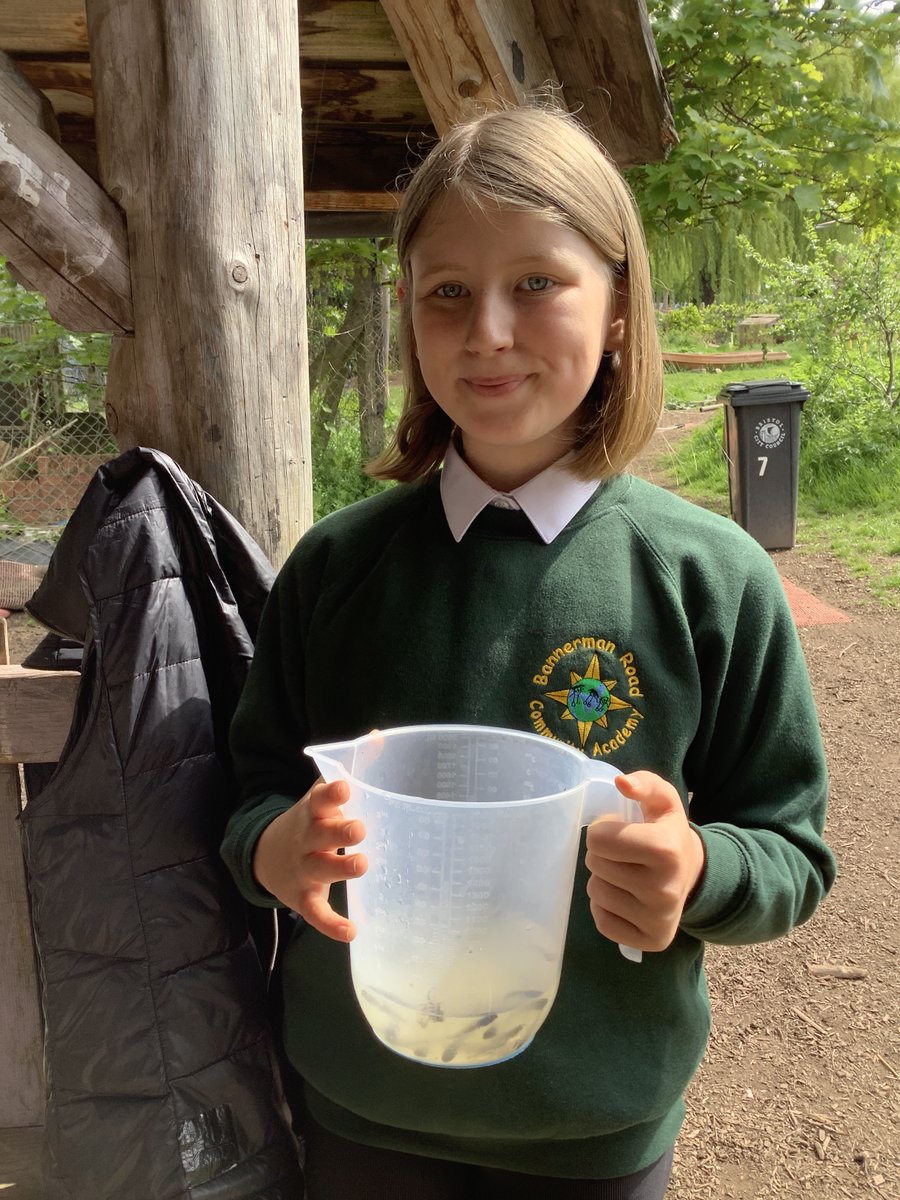 EACTBannermanRd's tweet photo. In March, Cali took some frogspawn home to observe how it would develop into tadpoles/froglets. She researched how to feed them and take care of them. Today, she returned them to school. She showed the reception children the froglets, then put them back in the pond. Amazing! https://t.co/TGfbdEhMxU