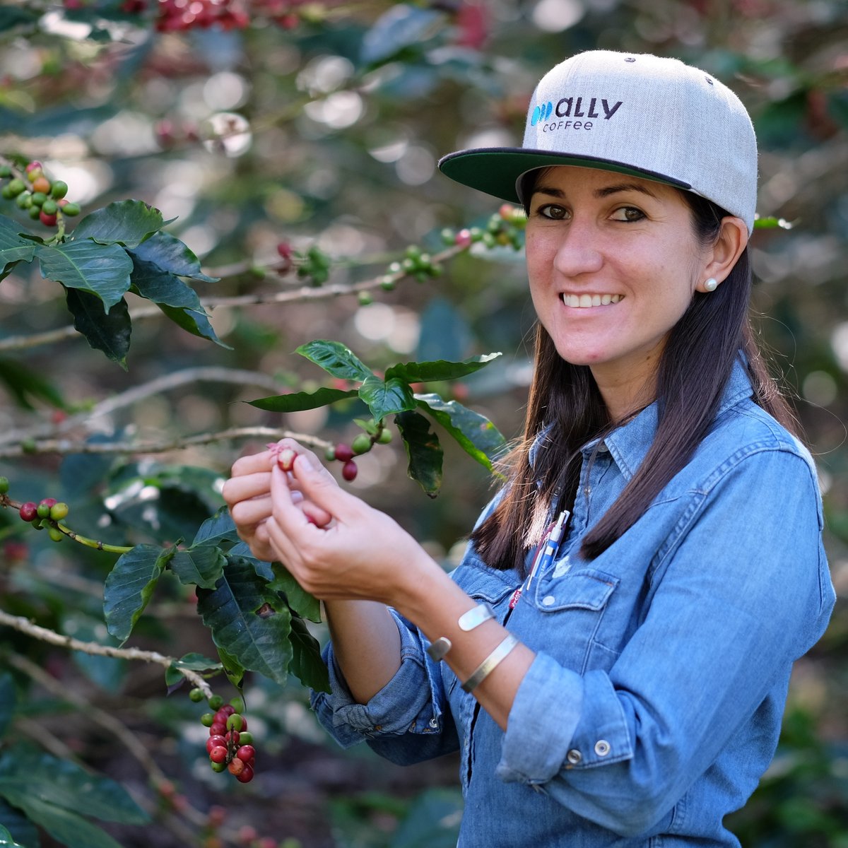 ally_open's tweet photo. There's so much in store just waiting to be discovered throughout our Core Coffee, Microlot, and Reserve collections! 

Did you know that you can save 10% on every coffee purchase at Ally Open through May 21? Just use code ALLYOPEN10 at checkout to save!
https://t.co/Yvgn8msGYN https://t.co/2eKeFurI7X