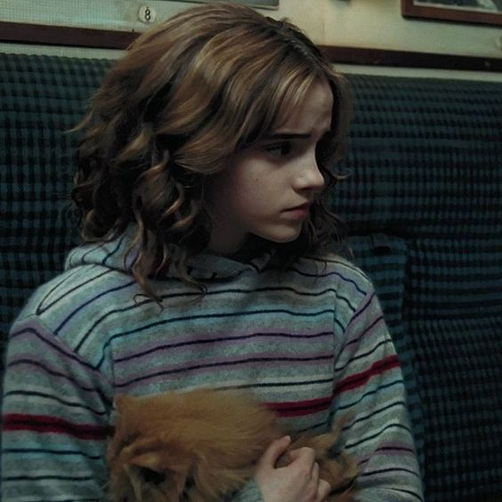 hermionethinker's tweet photo. ft: crookshanks https://t.co/0iuoeLn60Z
