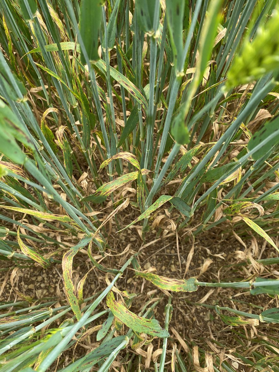 Ça faisait longtemps qu’on l’avait pas vu celle ci ! C’est chargé 💥