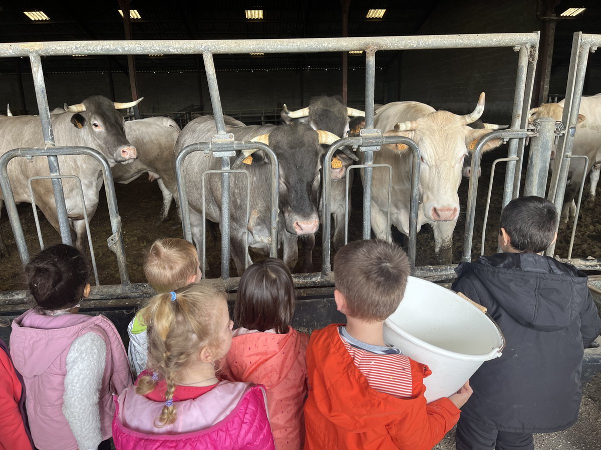 Interbevna's tweet photo. Retour en quelques 📸 de la visite #MadeInViande de l'élevage de Serge, éleveur de🐂en @gironde. Au programme, rencontre avec les animaux et découverte de l'alimentation des vaches https://t.co/iwX3css6xA