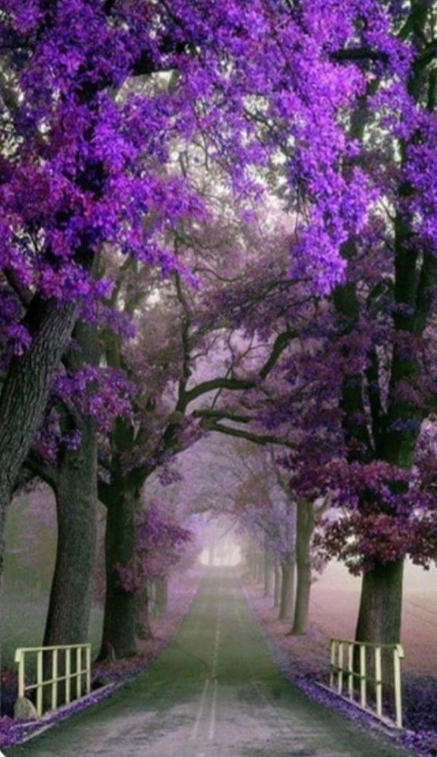 Good morning friends 💜💜
Happy WEEKEND 
#HAPPYDAY #HappyFriday