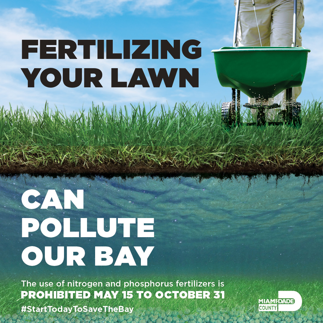 Did you know the fertilizer you use on your grass may be harming #BiscayneBay? Applying #fertilizer near bodies of water is prohibited as these nutrients are carried from our urban watershed to the bay. Learn more: bddy.me/42BKOgQ #FertilizerAwarenessWeek