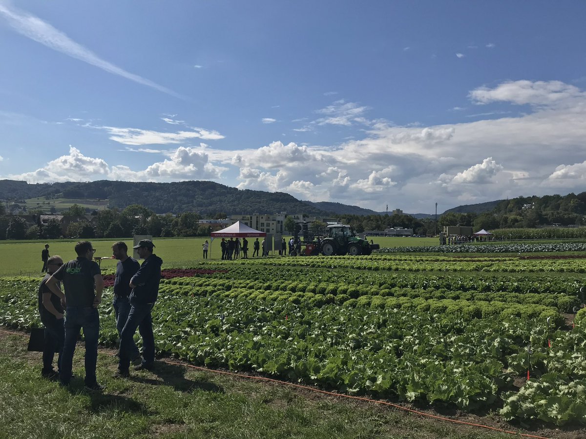 Best4Soil's tweet photo. Today is the #PlantHealthDay, let’s celebrate it! But no healthy plants without healthy soils #SoilHealth! Therefore, #Best4Soil will continue to be active, visit our website whenever you can https://t.co/KpE6isp15v https://t.co/RPieBK039n