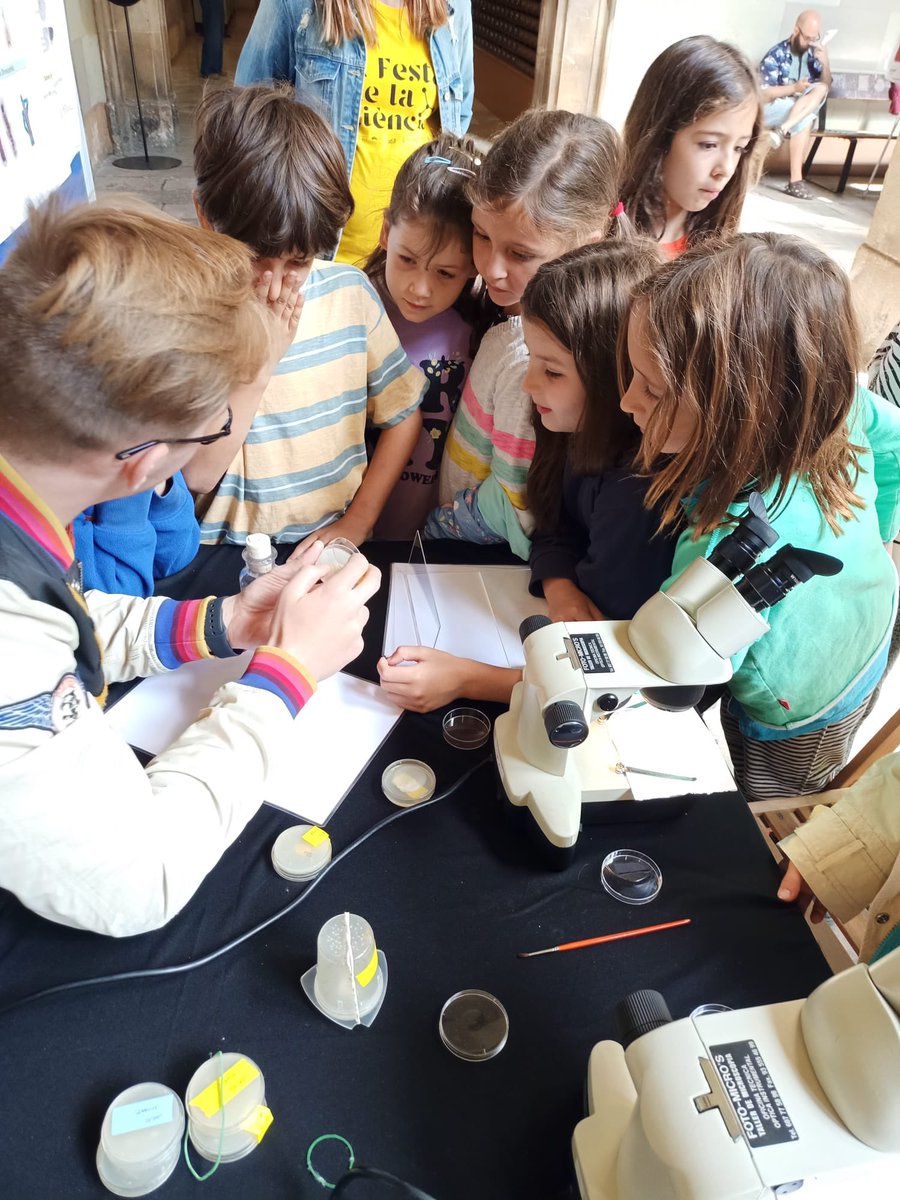 Today and tomorrow we will be at #FestaCienciaUB @UBDivulga @UniBarcelona with our #Drosophila super model stand! Join us to know more about #Drosophila #genetics and why it is such a great research model! @GeneticsUB @craibiologia @IBUB_UB