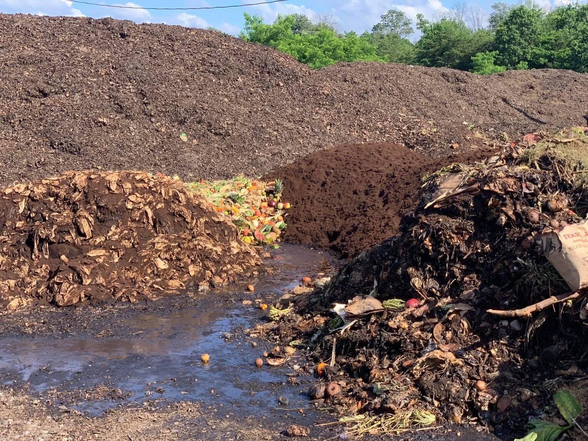 Two Particular Acres tweet media