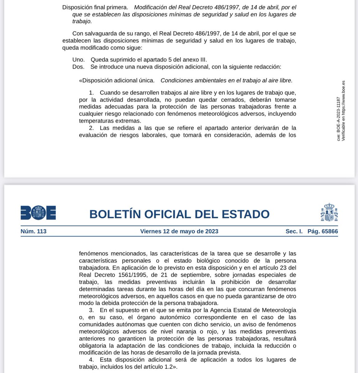 Ana Ercoreca tweet media