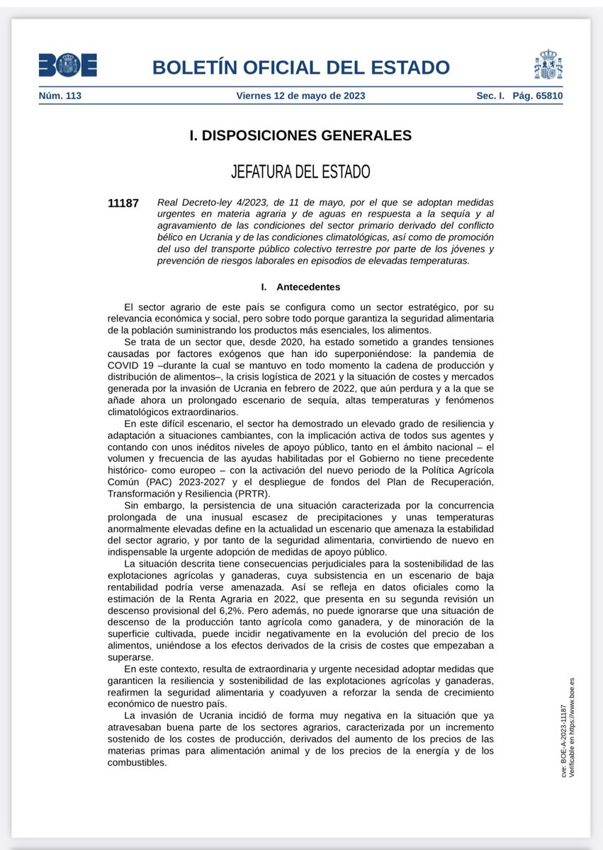 Ana Ercoreca tweet media