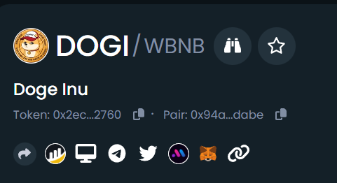 DogeInu (DOGI) BSC tweet media