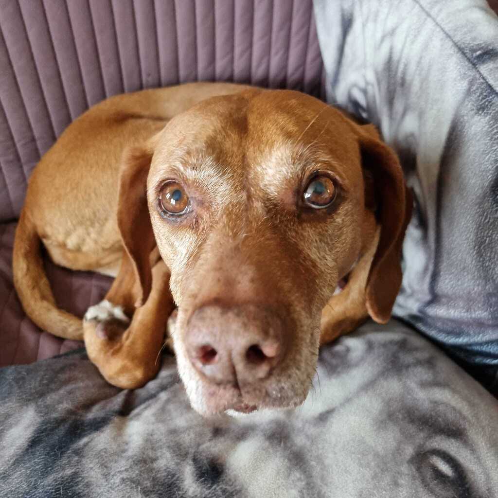 Happy Bird Day Hannah! Don't start getting stroppy now you're a teenager and... it's not my fault that it's raining!° instagr.am/p/CsJNgeeI3nm/