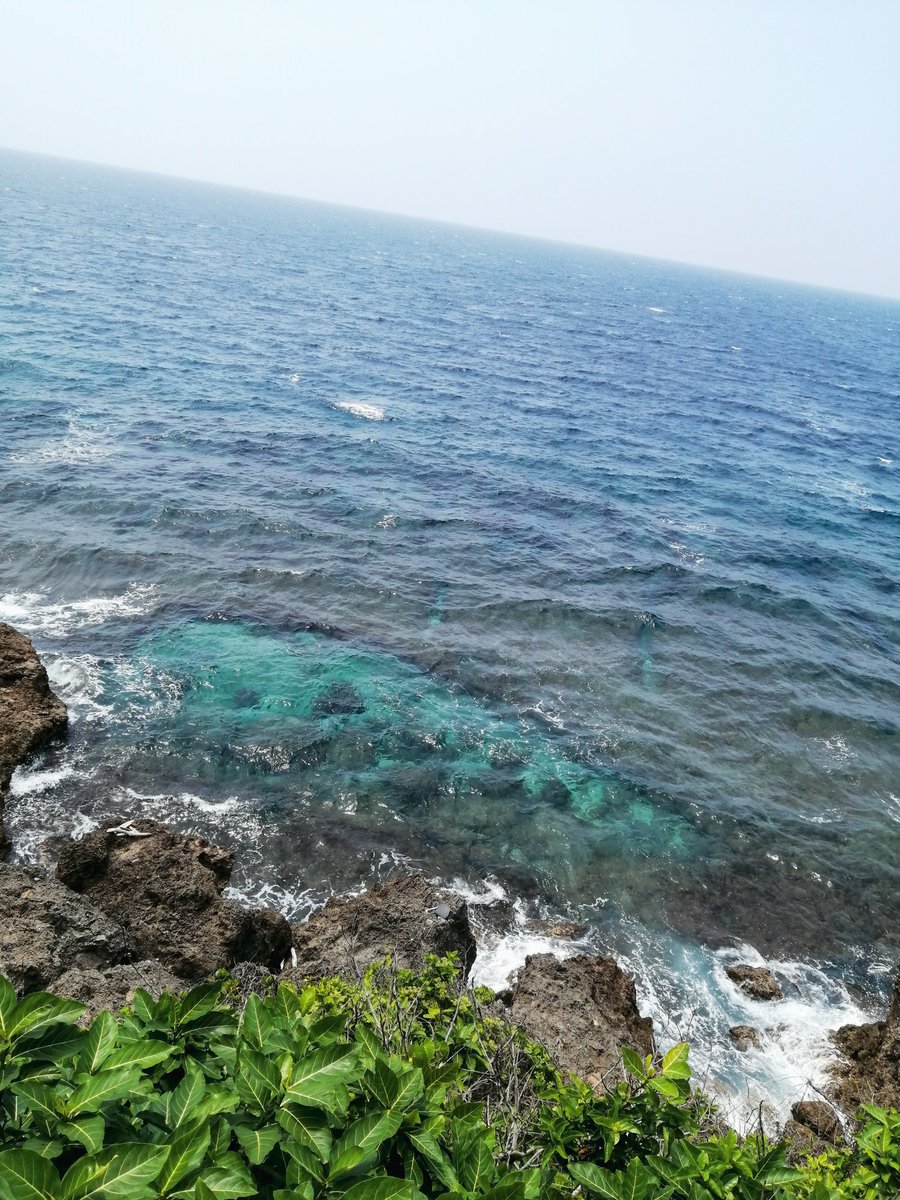 aiam_f's tweet photo. Xiaoliuqui 🌊 https://t.co/Zn2LiE3Hhs