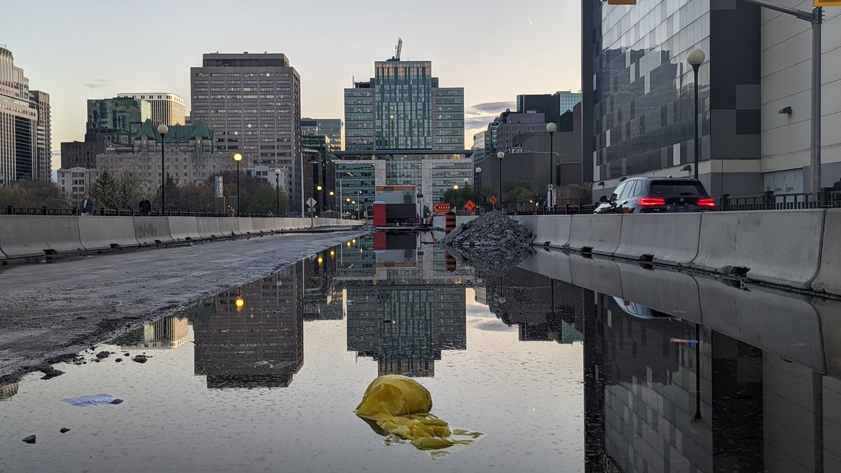 AdvCakStudios's tweet photo. I'm loving the warm weather in May!

#GooglePixel #amateurphotography #amateurphotos #photography #Scenery #FlowersOnFriday #may #springtime #sunsetphotography #Reflections #rideau #Ottawa #SunnyDay #flowerphotography https://t.co/taCFvw8ABT