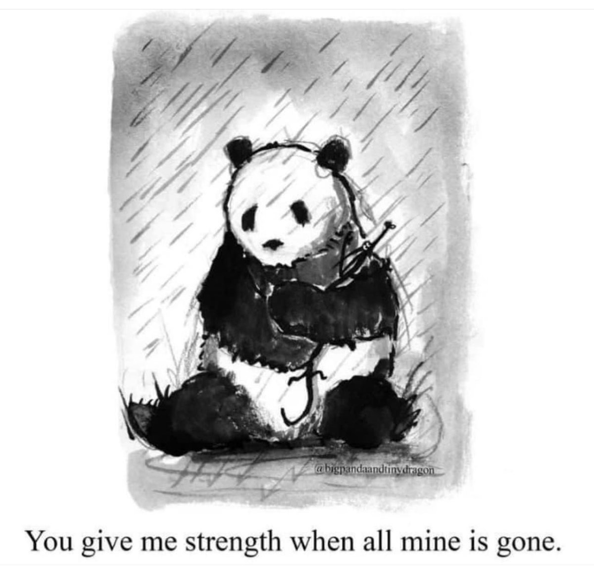 victoria english tweet media