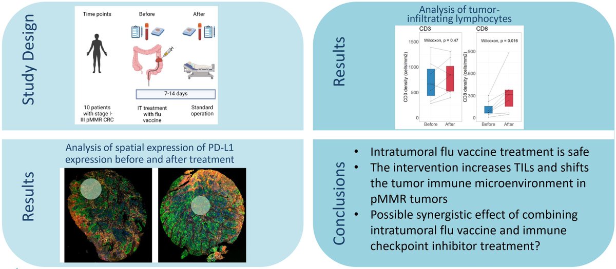 Journal for ImmunoTherapy of Cancer (@jitcancer) on Twitter photo New #JITC article: Neoadjuvant intratumoral influenza vaccine treatment in patients with proficient mismatch repair colorectal cancer leads to increased tumor infiltration of CD8+ T cells and upregulation of PD-L1: a phase 1/2 clinical trial bit.ly/3ptqmzL <a href="/MGogenur/">Mikail Gögenur</a> New #JITC article: Neoadjuvant intratumoral influenza vaccine treatment in patients with proficient mismatch repair colorectal cancer leads to increased tumor infiltration of CD8+ T cells and upregulation of PD-L1: a phase 1/2 clinical trial bit.ly/3ptqmzL <a href="/MGogenur/">Mikail Gögenur</a>