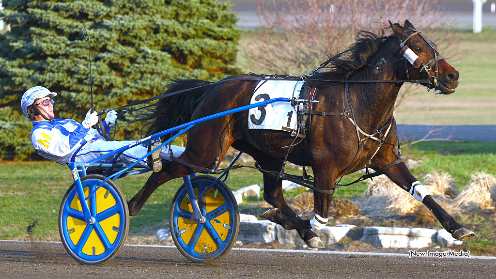 Trot Insider tweet media