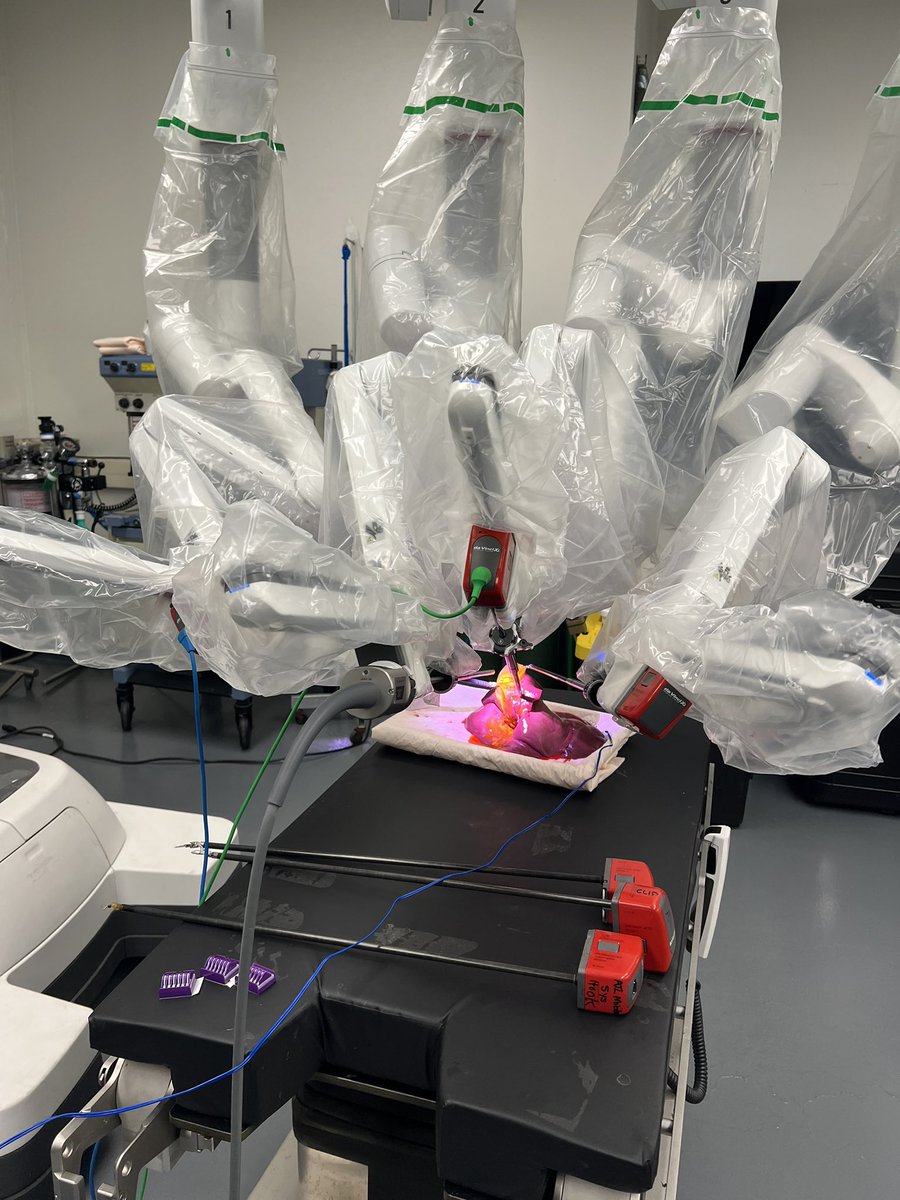 AMVillanoMD's tweet photo. Sim time = safe operations! Another super fun 🤖 lab with our @FoxChaseCancer fellows practicing basic #HPB techniques! No 🐷 gallbladder left behind and no leaks 😁
@FoxChaseSurgOnc https://t.co/WLmMpR7Lhg