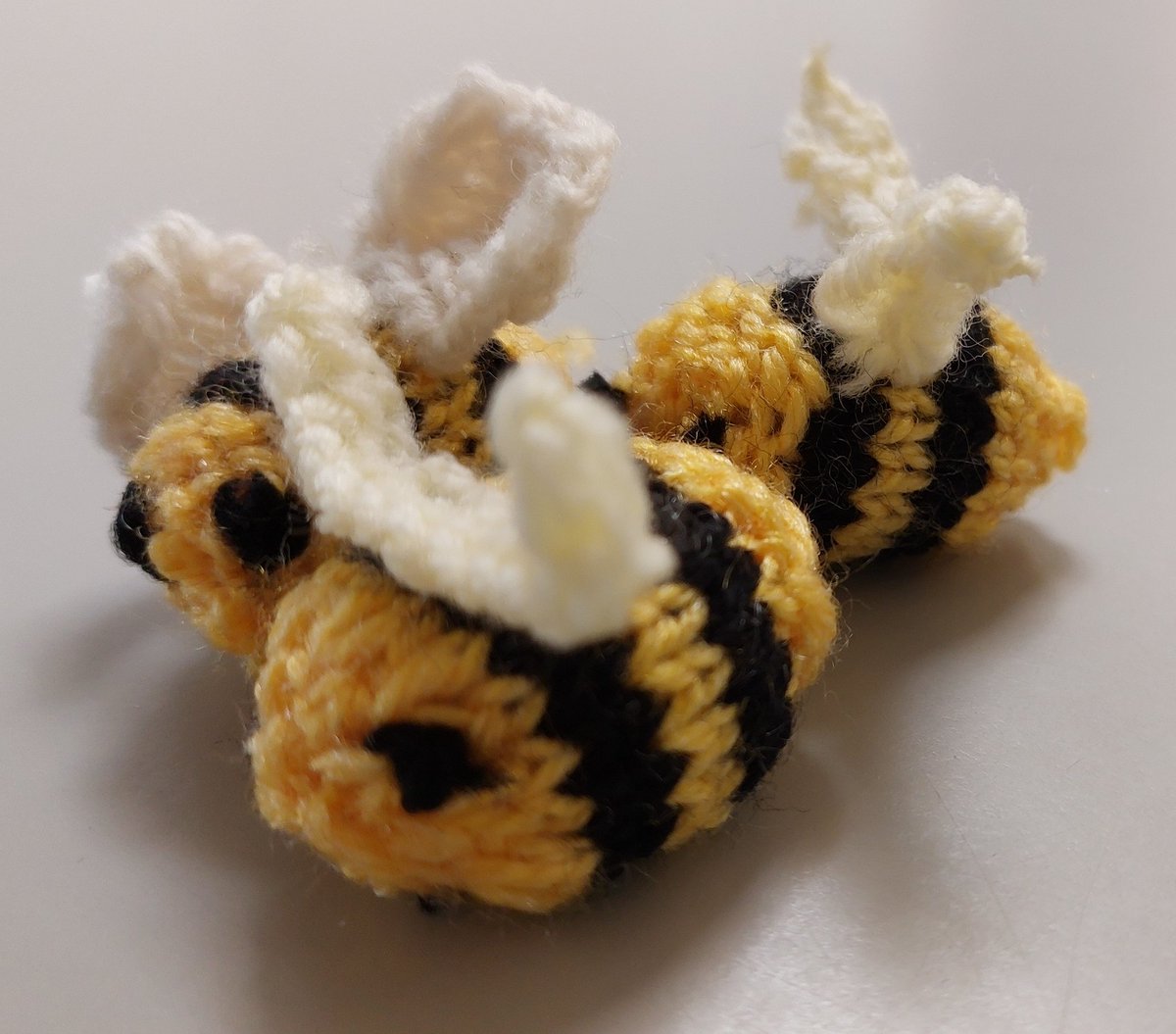 Chappy the Chaplaincy Bear at Stirling University tweet media