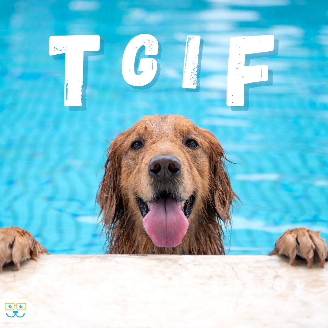sugar_animal's tweet image. Happy Friday! What are your weekend plans? #hoorayfortheweekend #tgifdog #tgif#sugarriverahgratham #grathampets #sugarriverah #sugarriveranimalhospital