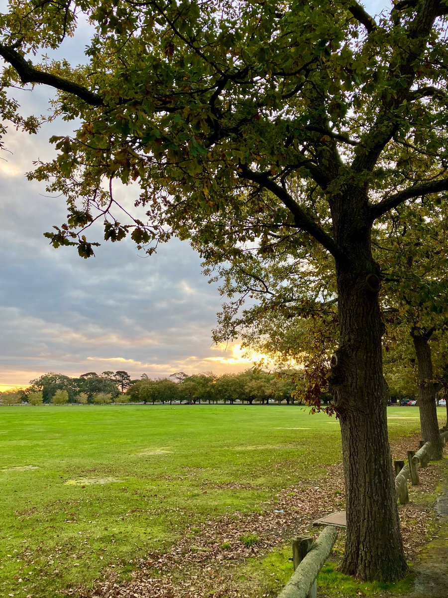 ericandmonique's tweet photo. The leaves 🍂 are falling in Ballarat, and we know what that means. Winter is coming… and it will last forever. 😂 #ballarat #winteriscoming https://t.co/mnGDs7fVfS