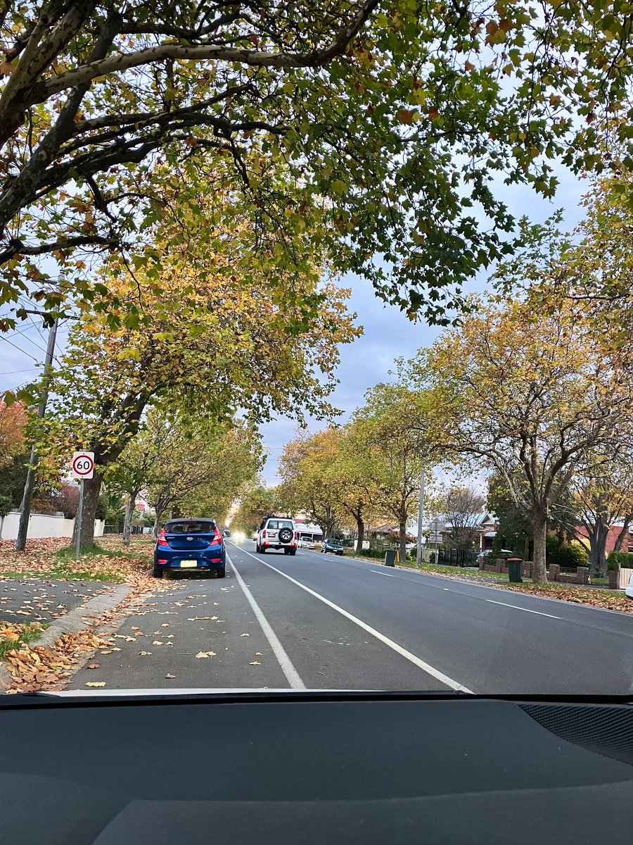 ericandmonique's tweet photo. The leaves 🍂 are falling in Ballarat, and we know what that means. Winter is coming… and it will last forever. 😂 #ballarat #winteriscoming https://t.co/mnGDs7fVfS
