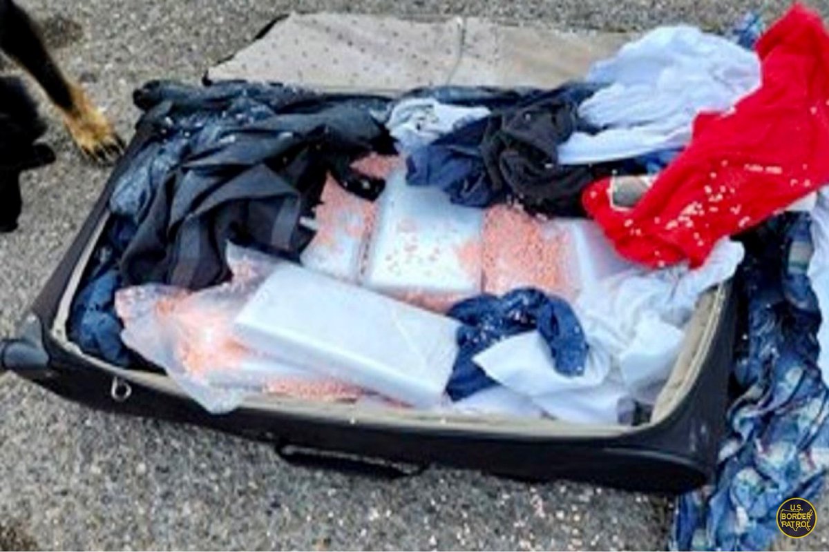 USBPChief's tweet photo. Week in Review:
- 3 Agents Assaulted
- 67,759 Apprehensions
- 15,780 Approx. Gotaways
- $83,557 Seized
- 224 lbs. Marijuana
- 179 lbs. Meth
- 56 lbs. Fentanyl
- 34 lbs. Cocaine
- 5 lbs. Heroin
- 7 Firearms
- 5 Sex Offenders
- 4 Gang Members
- 2 Felons
- 1 Subject with 5 Warrants https://t.co/DaZsbyn36l
