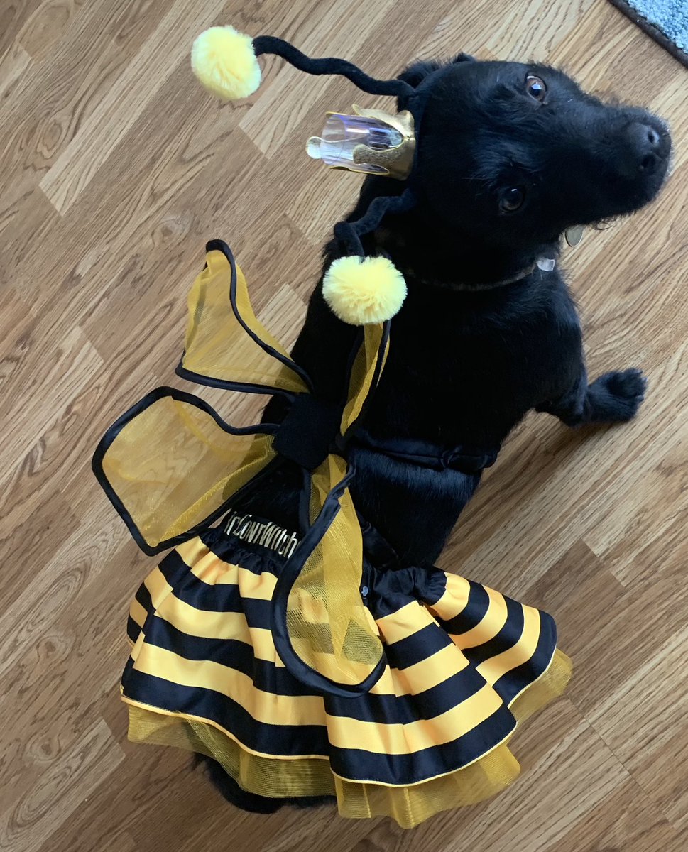 PammieMacSF's tweet photo. Bitch stole my look. https://t.co/XMLnmL0xAI