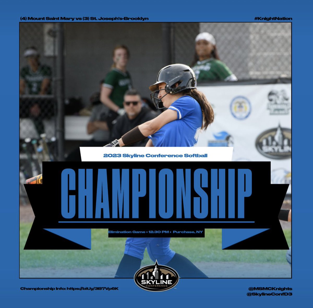 MSMC Softball tweet media