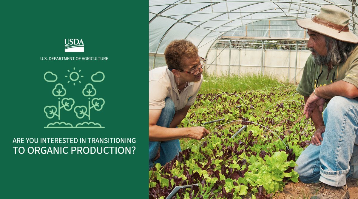 NRCS_Missouri's tweet image. Funding Opportunity! Thinking of going #organic or in the middle of the transition? We can help through the Organic Transition Initiative. Apply by June 15. Learn how direc.to/jo_t #MOag