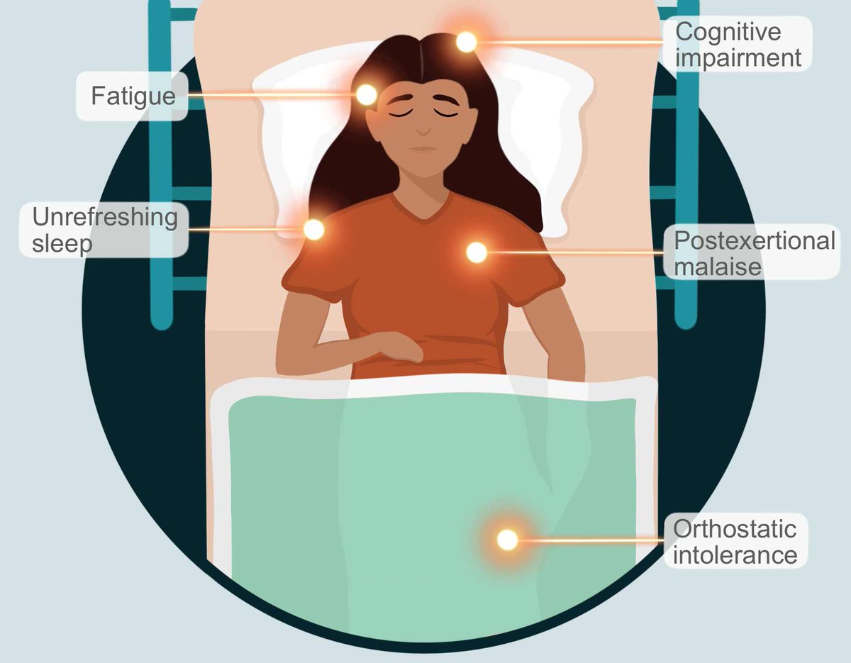 Maureen Hanson tweet media