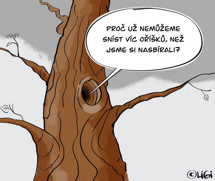 Poslední skaut™ tweet media
