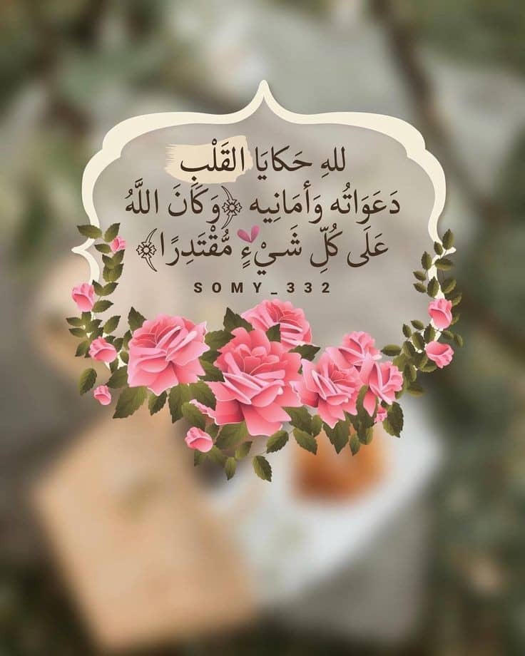 ibrahimalqaffaz's tweet photo. @nafa704 https://t.co/C2blzaqCqy