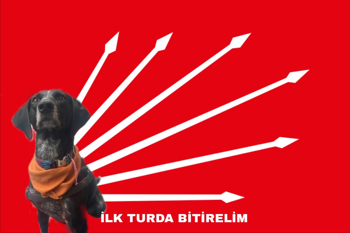 Köpkeymiş konuşamazmış, konuşacaksjkdsjd 🫶🏻 #ilkturdabitirelim