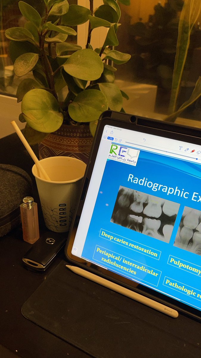 ندى العثمان tweet media