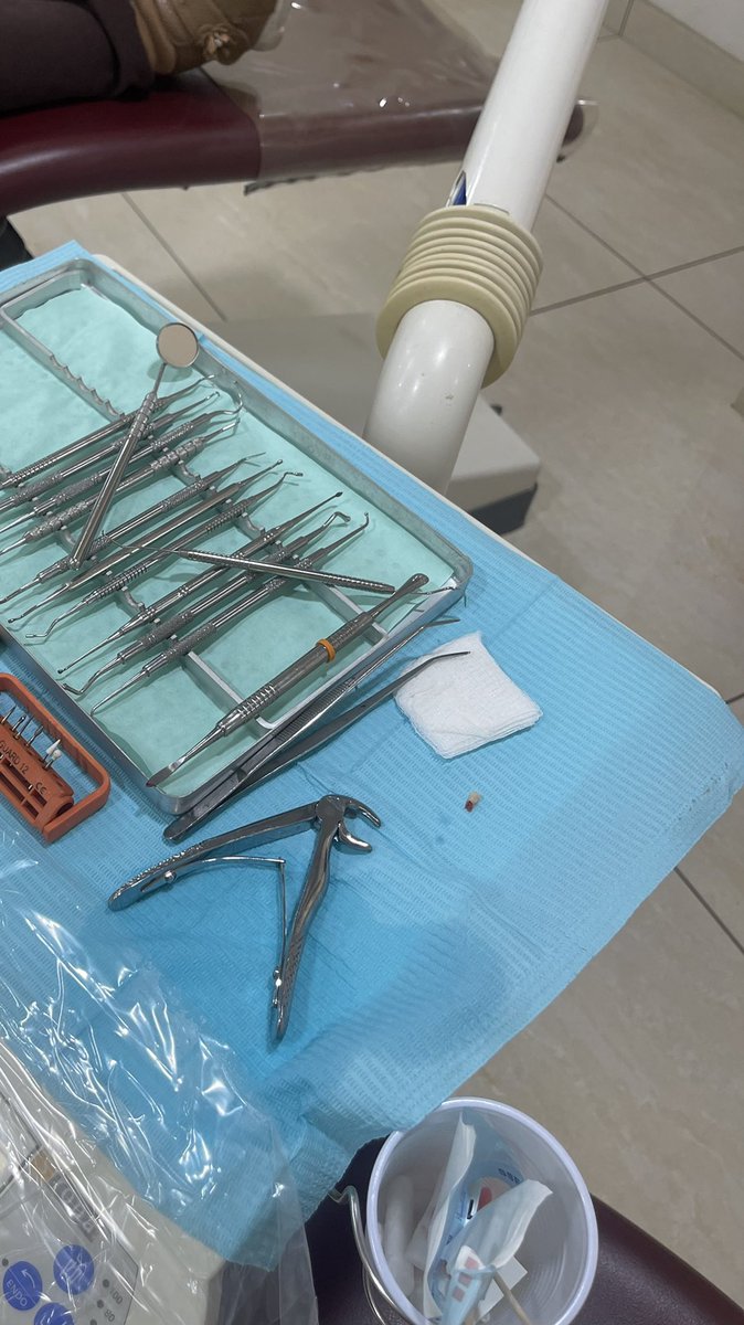 ندى العثمان tweet media