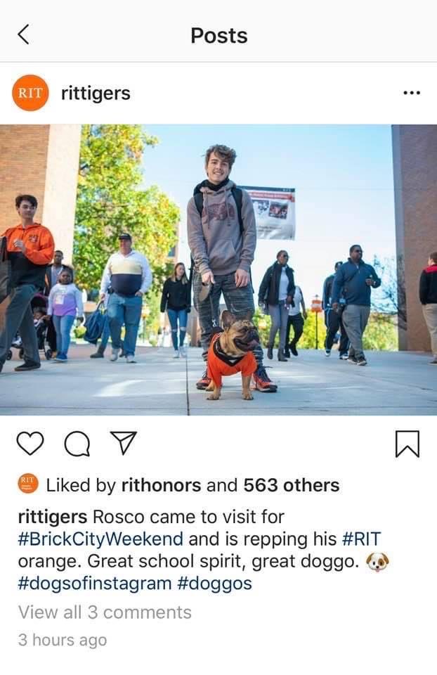 kchernesky's tweet photo. A BIG congratulations to this Tiger today!! You Mastered your BS/MS Electrical Engineering program!! #RITHonors #RITGrad #TI #TauBetaPi 👨‍🎓 https://t.co/Pew2eEg6Pg