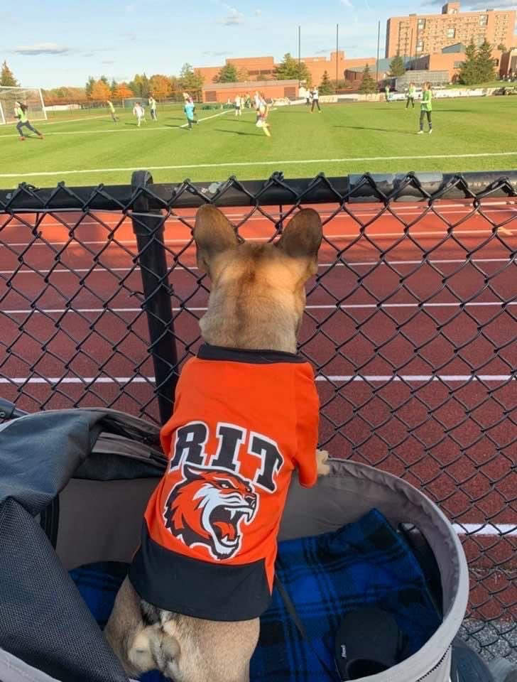 A BIG congratulations to this Tiger today!! You Mastered your BS/MS Electrical Engineering program!! #RITHonors #RITGrad #TI #TauBetaPi 👨‍🎓