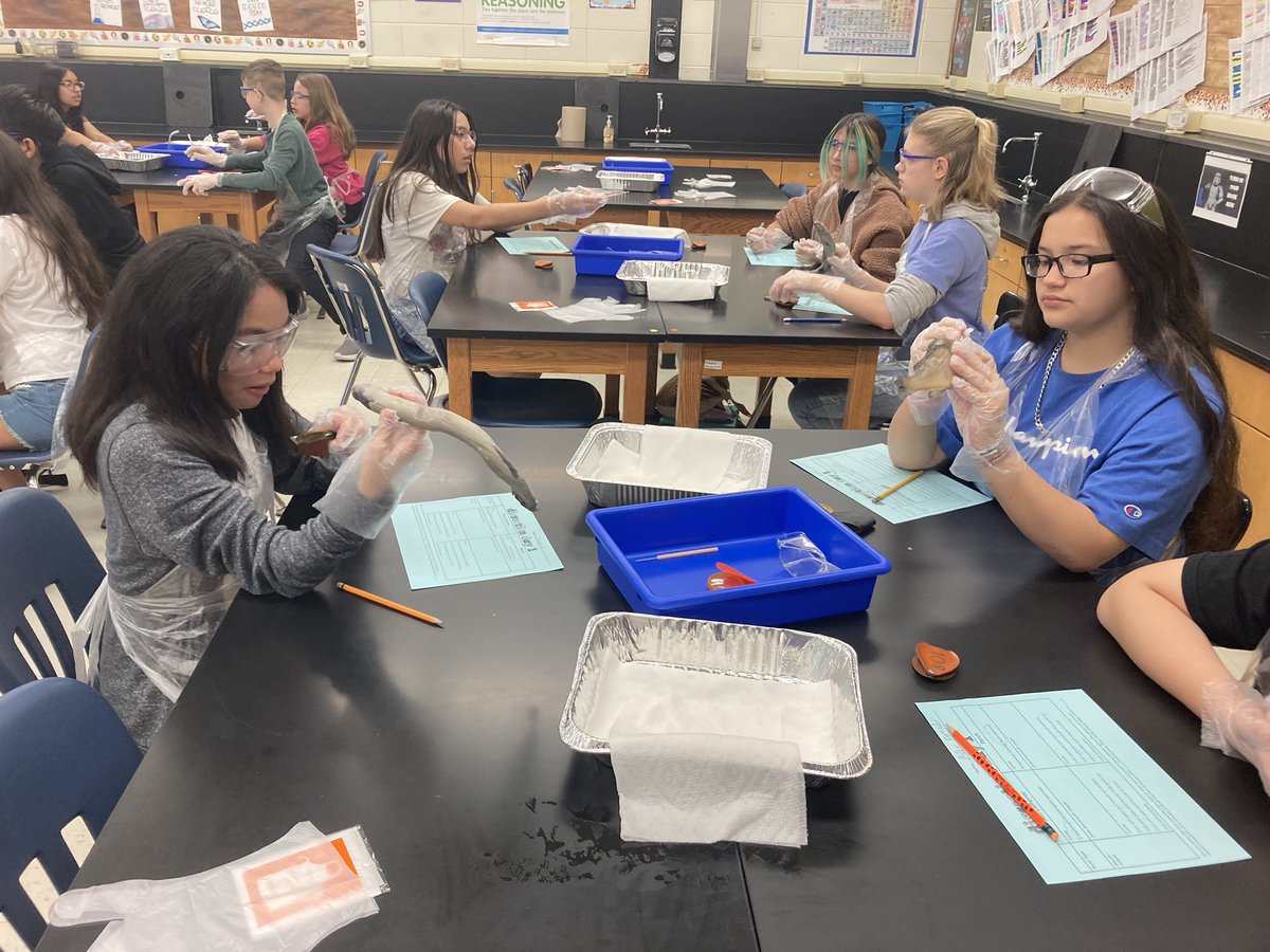 Dissection day! #asd4all #itbebrave