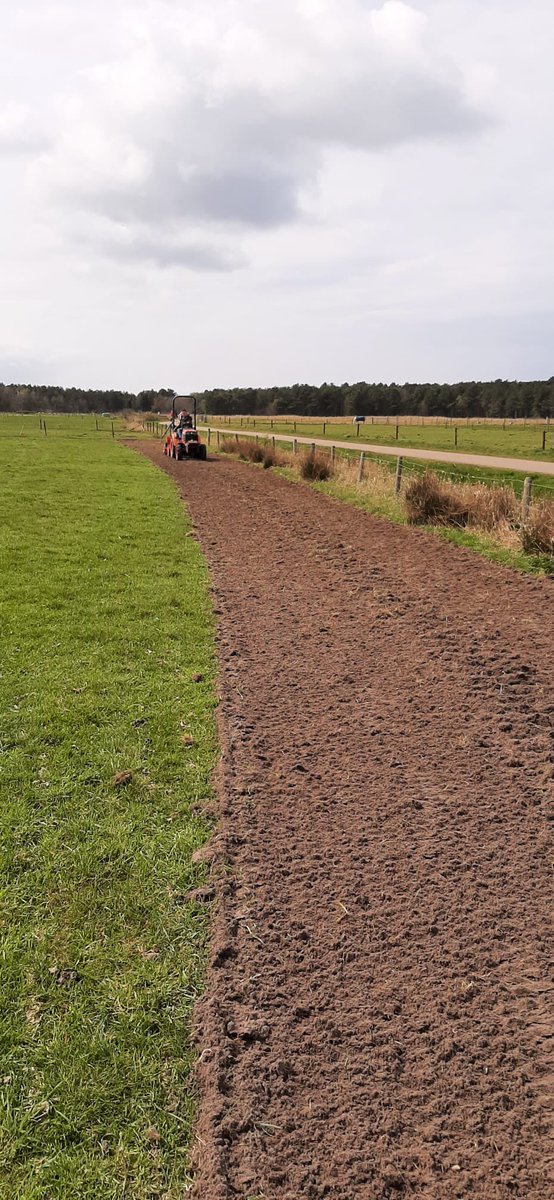 SpoelstrAmeland's tweet photo. Onlangs hebben we voor de Wildbeheer Eenheid Ameland, de randen van percelen ingezaaid met bloemenmengels. https://t.co/q6F9Ga5iY1