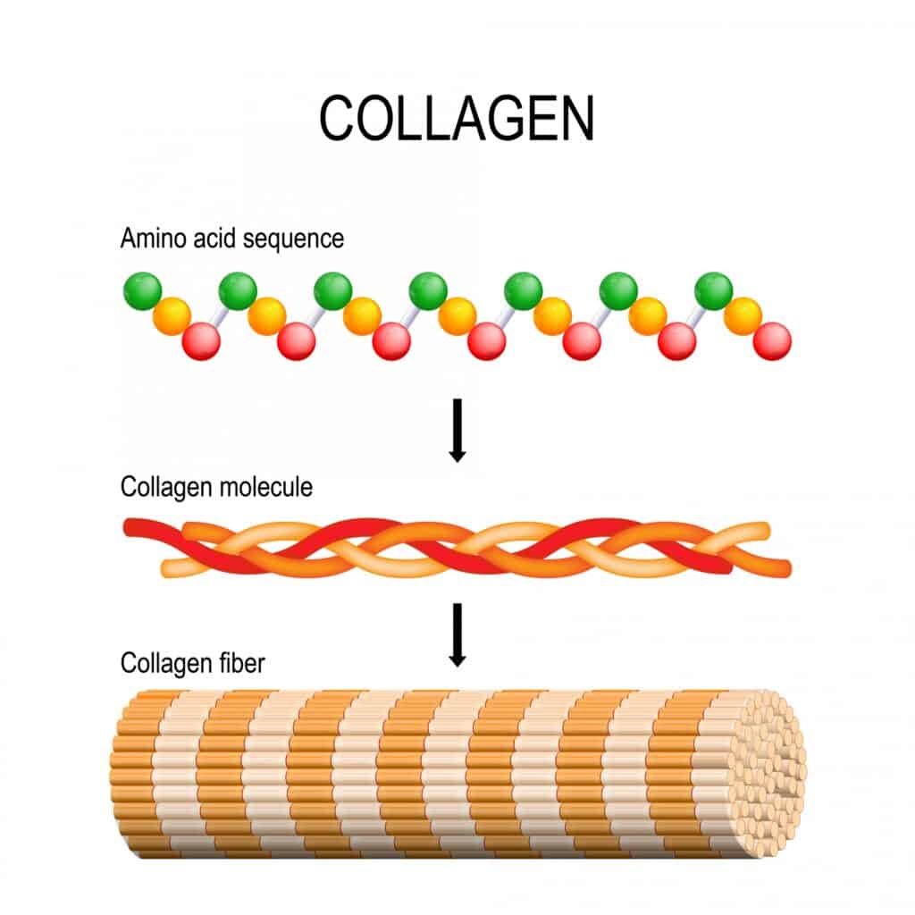 Should You Take Collagen Supplements? - newsete.com/should-you-tak… You Take Collagen Supplements?

The wellness industry has an obsession with youth. So naturally, collagen has become and continues to be a huge trend for anti-aging and overall health.

There has been som...