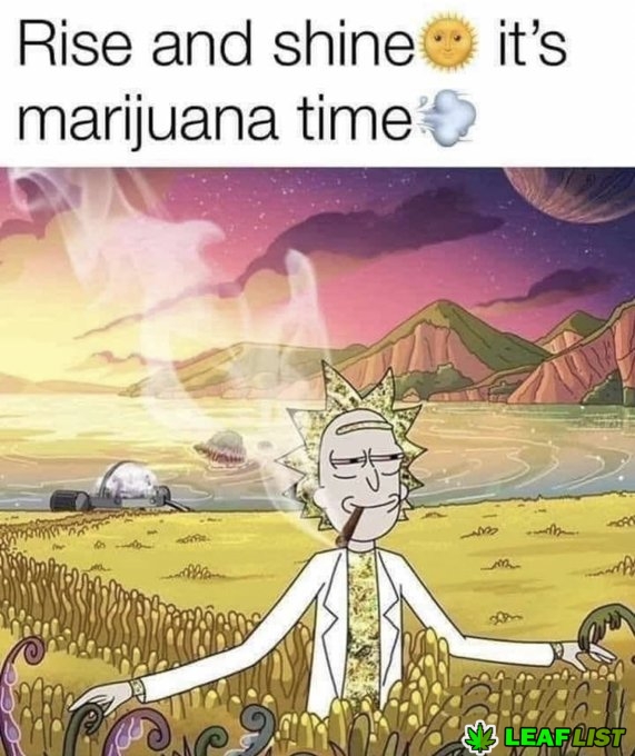 BudVizion's tweet photo. Are you high right now?  Yes or No #Weedmob #Weedgrowers #weedsmokers #MMJ #CannabisCommunity #cannabisindustry #marijuana #WeedLovers https://t.co/pRgA9ymlV9