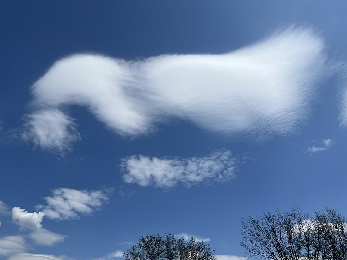 Mrs Louie FDK tweet media